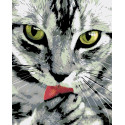 Чистоплотный котик Раскраска по номерам на холсте Живопись по номерам