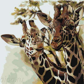 Раскладка Два жирафа Раскраска по номерам на холсте Живопись по номерам Z-AB44