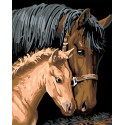 Лошадь с жеребенком Раскраска картина по номерам на холсте