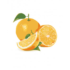 manual Сочный апельсин Раскраска по номерам на холсте Живопись по номерам