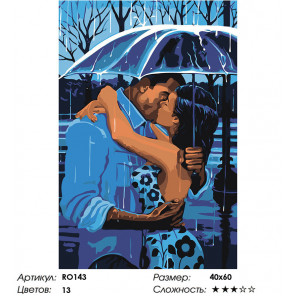Сложность и количество цветов Романтичный дождь Раскраска картина по номерам на холсте RO143