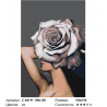 Сложность и количество цветов Роза-шляпка Раскраска картина по номерам на холсте Z-AB191-100x150
