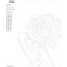 Контрольный лист Роза-шляпка Раскраска картина по номерам на холсте Z-AB191-100x150