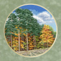 Осенний лес Набор для вышивания Золотое Руно