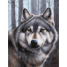  Волк Раскраска картина по номерам на картоне Белоснежка 3090-CS