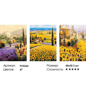 Сложность и количество цветов Цветочные поля Триптих Раскраска картина по номерам на холсте PX5260