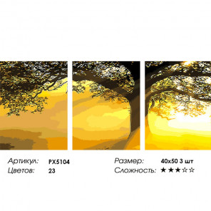  Солнце в листьях Триптих Раскраска картина по номерам на холсте PX5104