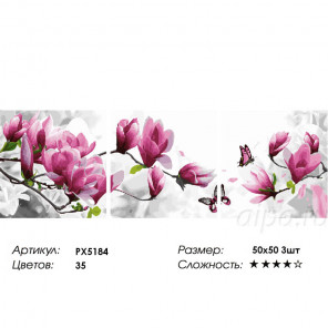 Сложность и количество цветов Воздушные цветы Триптих Раскраска картина по номерам на холсте PX5184