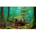 Медведи в лесу Алмазная вышивка мозаика Алмазное Хобби