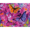  Бабочки в розовом Раскраска картина по номерам на холсте ZX 20473