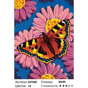  Цветы и бабочки Раскраска картина по номерам на холсте EX5300