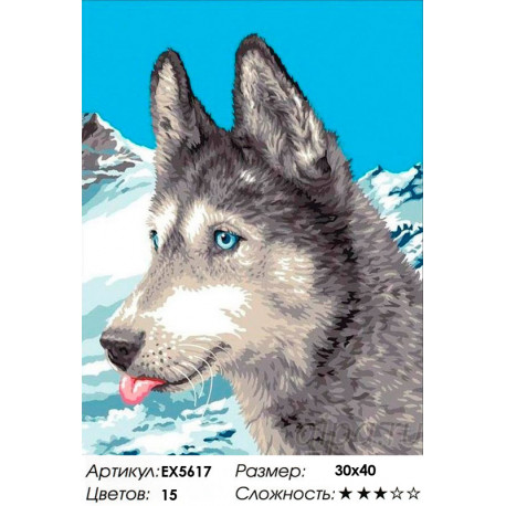 Сложность и количество цветов На Аляске Раскраска картина по номерам на холсте EX5617