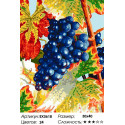 Виноград Раскраска картина по номерам на холсте