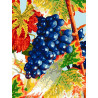 Виноград Раскраска картина по номерам на холсте EX5618