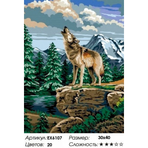 Сложность и количество цветов Волчий зов Раскраска картина по номерам на холсте EX6107
