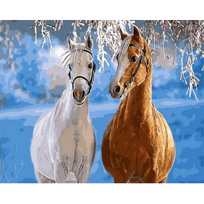  Парочка лошадей Раскраска картина по номерам на холсте Z-GX31608