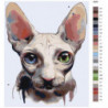 Кошка Сфинкс Раскраска картина по номерам на холсте