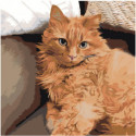 Рыжий кот на диване Раскраска картина по номерам на холсте