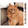 Рыжий кот на диване Раскраска картина по номерам на холсте