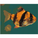 Желто-черная рыбка Раскраска картина по номерам на холсте