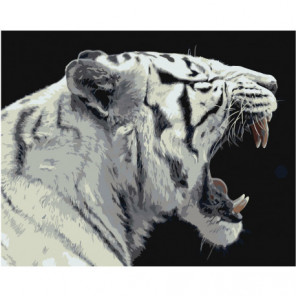 Белый тигр 80х100 Раскраска картина по номерам на холсте