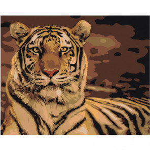 Тигр Раскраска картина по номерам на холсте