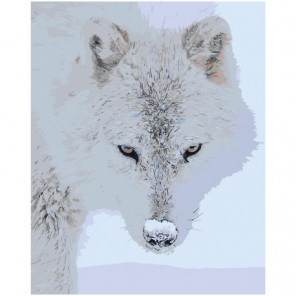 Полярный волк 100х125 Раскраска картина по номерам на холсте