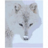 Полярный волк Раскраска картина по номерам на холсте
