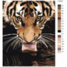 Лакающий тигр 80х100 Раскраска картина по номерам на холсте