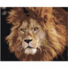 Брутальный лев Раскраска картина по номерам на холсте