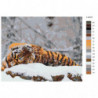 Тигр на снегу 80х100 Раскраска картина по номерам на холсте