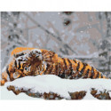 Тигр на снегу 100х125 Раскраска картина по номерам на холсте