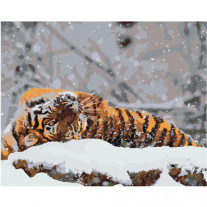 Тигр на снегу Раскраска картина по номерам на холсте