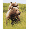 Бурые медведи в поле 80х100 Раскраска картина по номерам на холсте