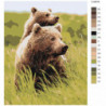 Бурые медведи в поле 100х125 Раскраска картина по номерам на холсте