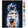 Goku Ультра Инстинкт 60х80 Раскраска картина по номерам на холсте