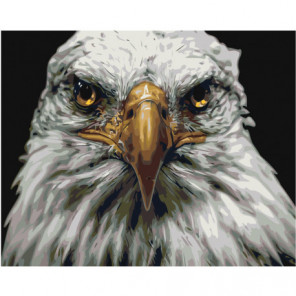 Голова орла Раскраска картина по номерам на холсте