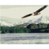 Орел парящий над горным озером Раскраска картина по номерам на холсте