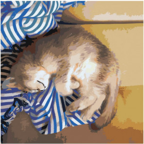 Кот спит на тельняшке Раскраска картина по номерам на холсте