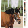 Гнедой конь Раскраска картина по номерам на холсте