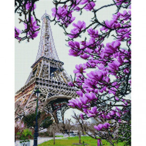 Весенняя красота Парижа Алмазная мозаика вышивка Painting Diamond