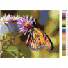 Бабочка на цветке 100х125 Раскраска картина по номерам на холсте