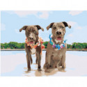 Две собаки на пляже Раскраска картина по номерам на холсте