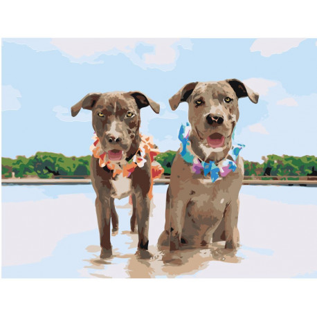 Две собаки на пляже 60х80 Раскраска картина по номерам на холсте
