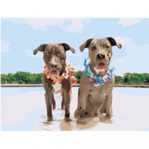Две собаки на пляже 75х100 Раскраска картина по номерам на холсте