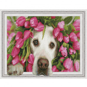  Лабрадор в тюльпанах Картина 3D мозаика с нанесенной рамкой на подрамнике Molly KM0195