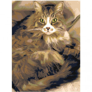 Пушистая кошка Раскраска картина по номерам на холсте