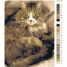 Пушистая кошка Раскраска картина по номерам на холсте