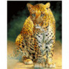 Южноаравийский леопард Раскраска картина по номерам на холсте