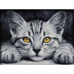  Желтоглазый котёнок Алмазная вышивка мозаика АЖ-1807
